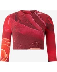 Roberto Cavalli - Rose-Print Crop Top - Lyst