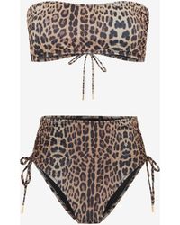 Roberto Cavalli - Jaguar Print Bikini - Lyst