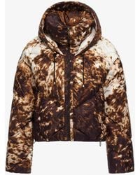 Roberto Cavalli - Appaloosa Print Puffer Jacket - Lyst