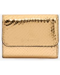 Roberto Cavalli - Laminated Card Holder With Snake Print - Lyst