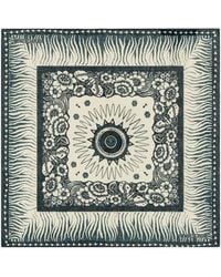 Roberto Cavalli - Cotton Scarf With Zebra Pattern And Logo - Lyst