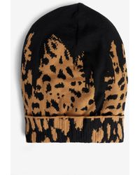 Womens Accessories Hats Roberto Cavalli Tiger Tooth Beanie 