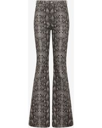 Roberto Cavalli - Jeans Mit Python-Print - Lyst