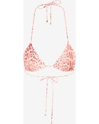 Roberto Cavalli - Jaguar Print Bikini Top - Lyst