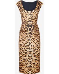 Roberto Cavalli - Midi Dress With Jaguar Skin Print - Lyst