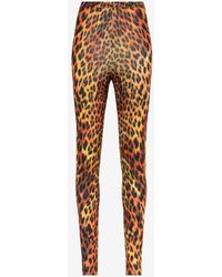 Roberto Cavalli Leopard And Freedom-jacquard leggings in Black Slacks and Chinos Leggings Womens Clothing Trousers 