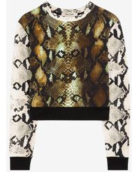 Roberto Cavalli - Python-print Cotton Sweatshirt - Lyst