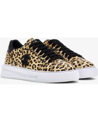 Roberto Cavalli - Low-Top Sneakers With Jaguar Print - Lyst