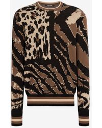 Roberto Cavalli Sweaters and knitwear 