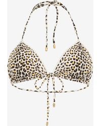 Roberto Cavalli - Pop Jaguar Print Bikini Top - Lyst
