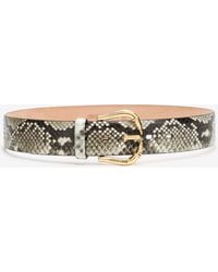 Roberto Cavalli - Belt With Fang Buckle - Lyst