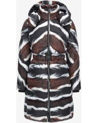 Roberto Cavalli - Animalier Print Puffer Jacket With Belt - Lyst