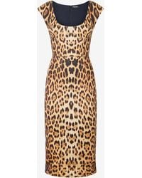 Roberto Cavalli - Midi Dress With Jaguar Skin Print - Lyst
