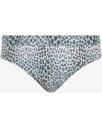 Roberto Cavalli - Bañador Tipo Slip Con Estampado Baby Jaguar - Lyst