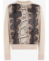 Roberto Cavalli Sweaters and knitwear 