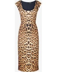 Roberto Cavalli - Midi Dress With Jaguar Skin Print - Lyst