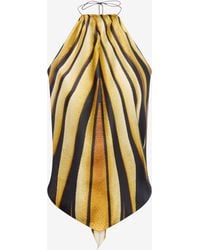 Roberto Cavalli - Ray Of Print Silk Halter Top - Lyst