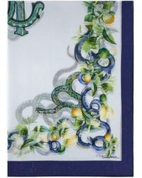Roberto Cavalli - Pareo With Lemon Print - Lyst