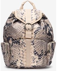 Roberto Cavalli - Rucksack Python Napoli - Lyst