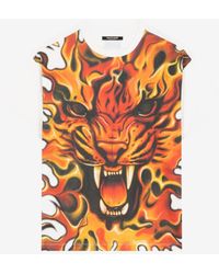 Roberto Cavalli - Flame Lion-print Cotton T-shirt - Lyst