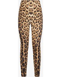Roberto Cavalli - Jaguar Print Leggings - Lyst
