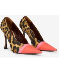Roberto Cavalli - Pumps Mit Leoparden-Print - Lyst
