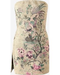 Roberto Cavalli - Mini Dress With Oriental Bird Print - Lyst