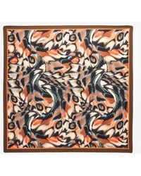 Roberto Cavalli - Scarf With Butterfly Print - Lyst