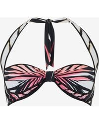 Roberto Cavalli - Ray Of Paradise Print Bikini Top - Lyst