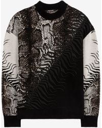 Roberto Cavalli - Bestickter Python-Jacquard-Pullover - Lyst