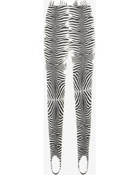 Roberto Cavalli - Zebra-Printed Leggings - Lyst