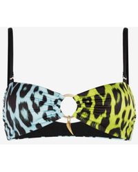 Roberto Cavalli - Jaguar-print Bikini Top - Lyst