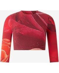 Roberto Cavalli - Rose-Print Crop Top - Lyst