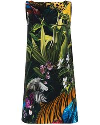 Roberto Cavalli - Floral And Leopard-print Mini Dress - Lyst