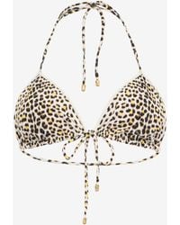 Roberto Cavalli - Pop Jaguar Print Bikini Top - Lyst