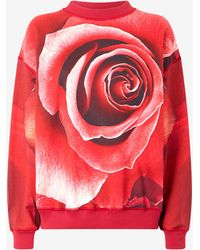 Roberto Cavalli - Sweatshirt With Maxi-Rose Print - Lyst