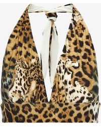 Roberto Cavalli - Printed Triangle Bikini Top - Lyst