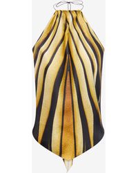 Roberto Cavalli - Ray Of Print Silk Halter Top - Lyst