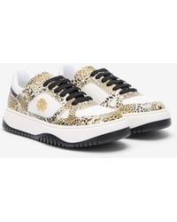 Roberto Cavalli - Leopard Print Sneaker With Monogram Rc - Lyst