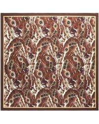 Roberto Cavalli - Mini Butterfly Print Scarf - Lyst