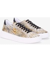 Roberto Cavalli - Leopard Print Sneaker With Monogram Rc - Lyst