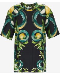 Roberto Cavalli - Lemon And Snake Print T-Shirt - Lyst