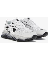 Roberto Cavalli - Sneaker Mit Zebra-Print Und Monogram Rc - Lyst