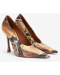 Roberto Cavalli - Pumps With Python Print - Lyst