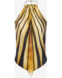 Roberto Cavalli - Ray Of Print Silk Halter Top - Lyst