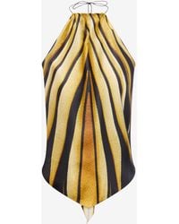 Roberto Cavalli - Ray Of Print Silk Halter Top - Lyst