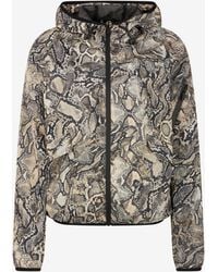 Roberto Cavalli - Veste À Capuche Et Imprimé Python - Lyst