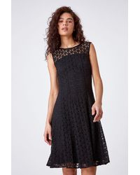 Roman - Lace Fit And Flare Dress - Lyst