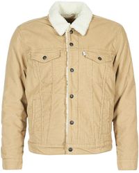 mens levi jackets uk