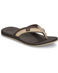 Rip Curl - Flip Flops / Sandals (shoes) Reactor Open Toe - Lyst